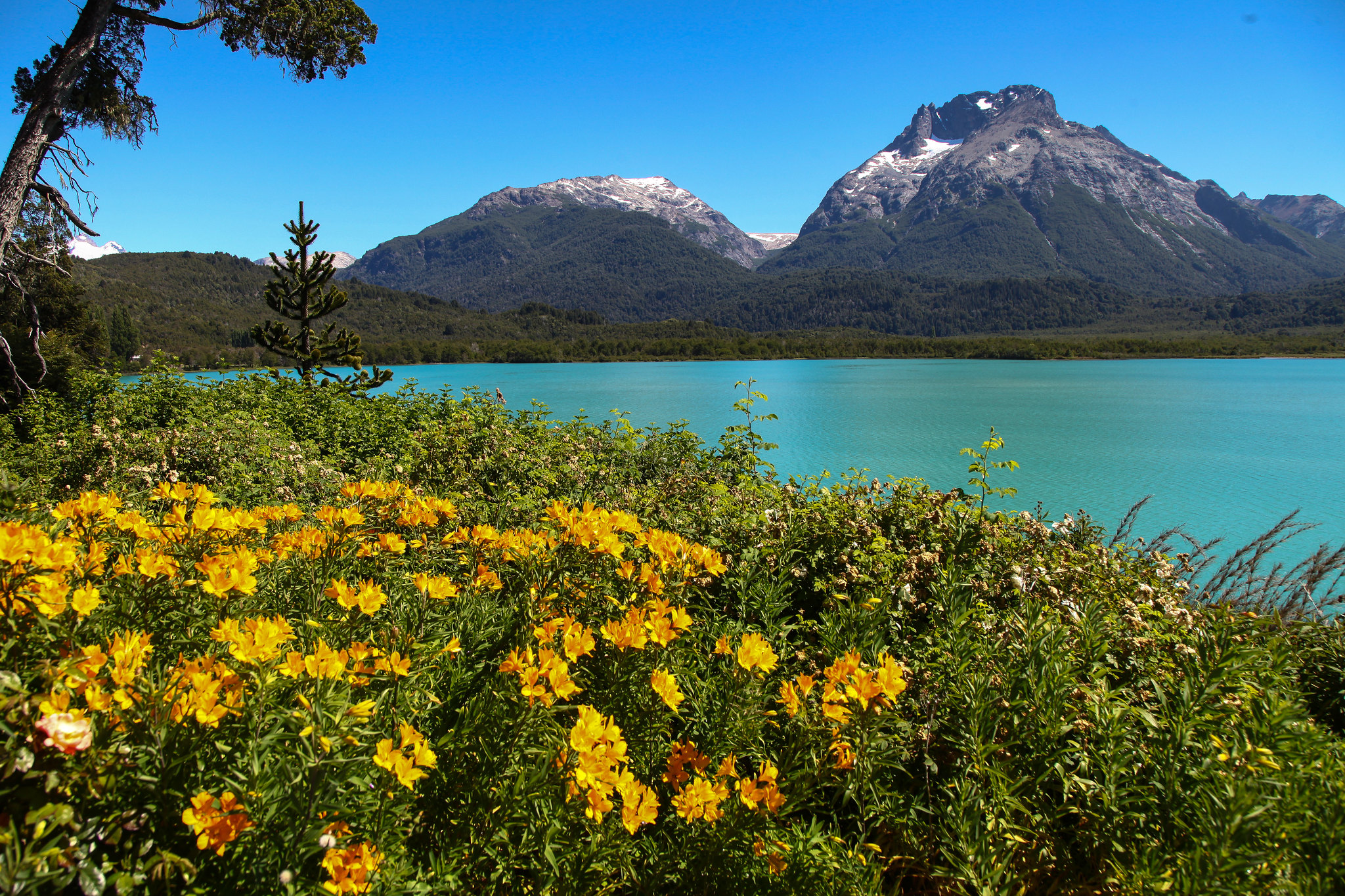 cerro tronador cerro tronador