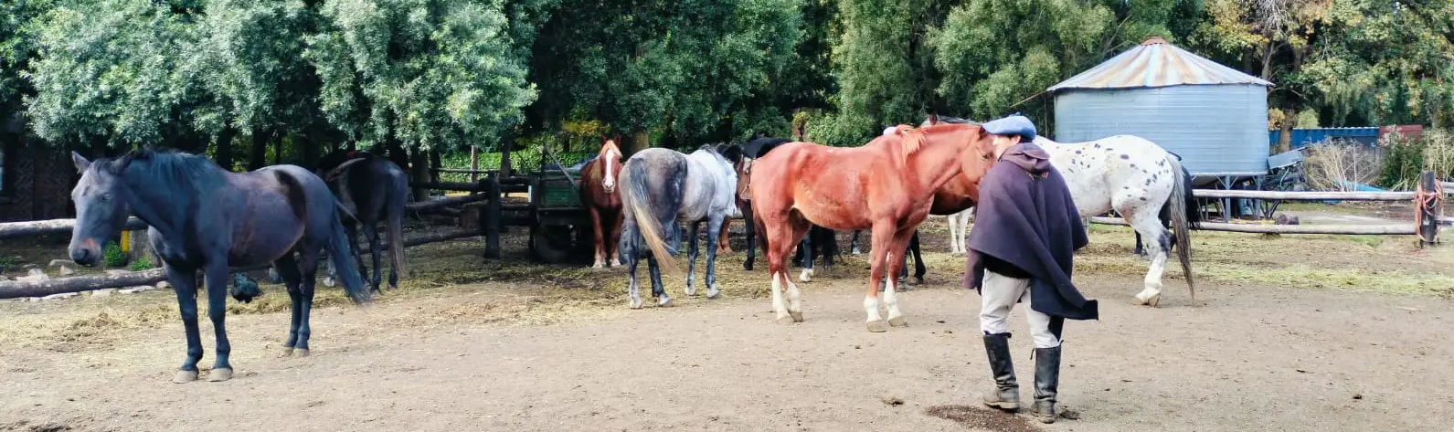 cabalgatas wesley header 2